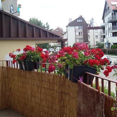 Przytulny Apartament Apartment *