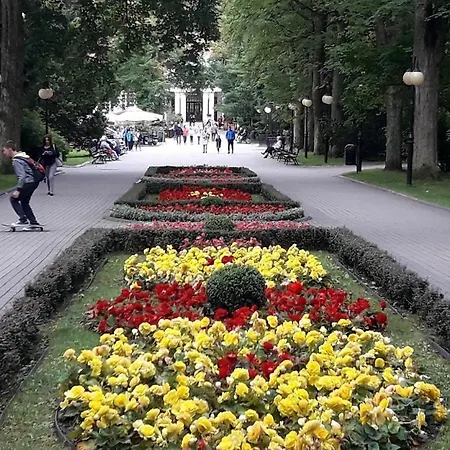 Przytulny Apartament